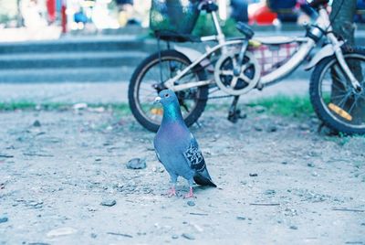 View of a bicycle on the road