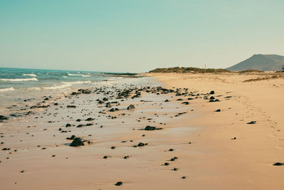 Scenic view of beach against clear sky