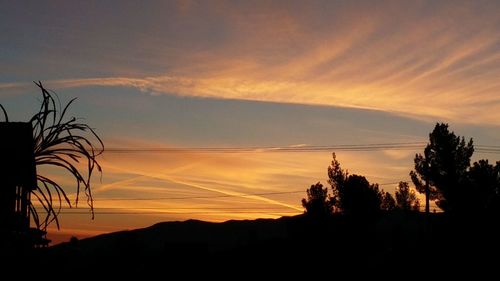 Silhouette trees and mountain sky during sunset