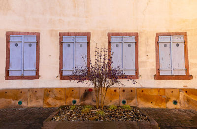 Exterior of abandoned building