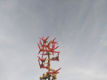 Low angle view of plant against sky