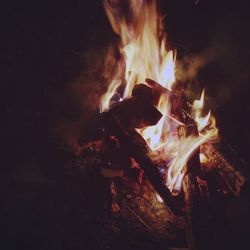 Close-up of bonfire at night