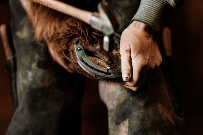 Cropped hand of man holding horse