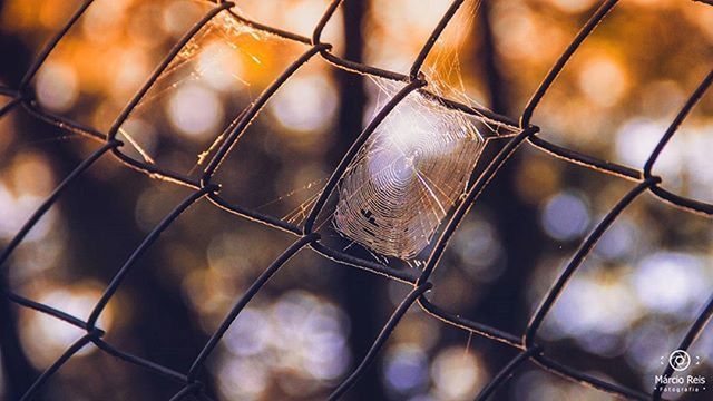 chainlink fence, fence, protection, safety, focus on foreground, security, metal, full frame, backgrounds, close-up, pattern, metallic, metal grate, no people, forbidden, day, outdoors, chain link fence, sunlight, detail