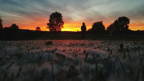 Silhouette trees on field against sky at sunset