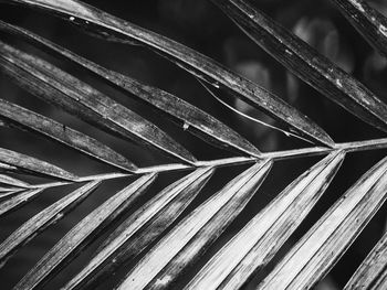 Full frame shot of metallic structure