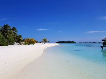 Scenic view of beach against blue sky