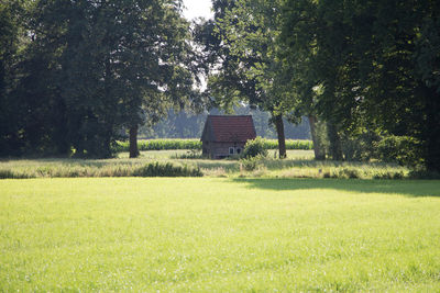House on field against trees