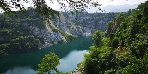 Scenic view of river amidst trees in forest