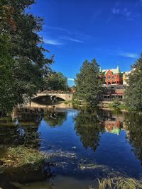 Reflection of trees in water