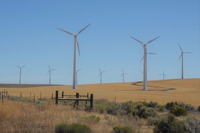 Wind turbines on land against clear blue sky