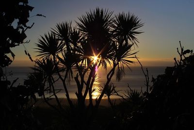 Scenic view of sea at sunset