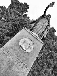 Close-up of tree against sky