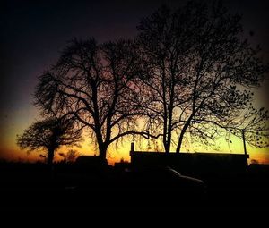 Silhouette of bare trees against sky at sunset