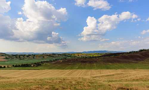 Scenic view of agricultural field against sky