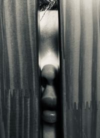 Close-up portrait of man seen through window