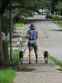 Rear view of man walking with dog on street