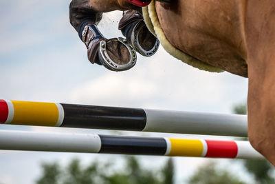 Horse jumping, equestrian sports, show jumping competition themed photograph.