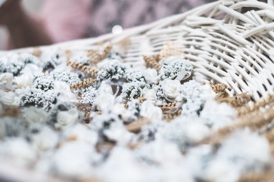 Close-up of flowers in basket