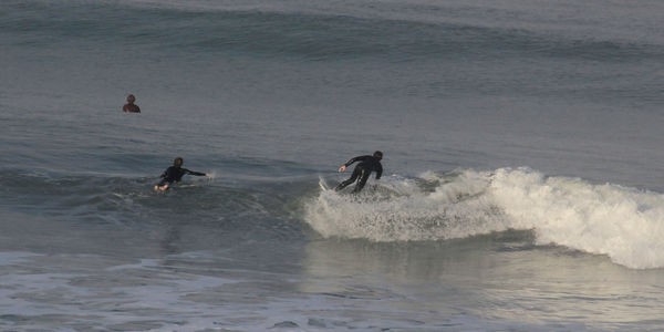 Surfers surfing in sea