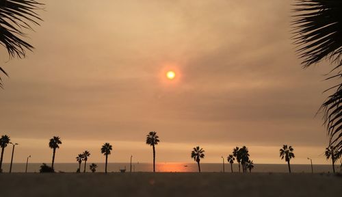 Silhouette palm trees against sky during sunset