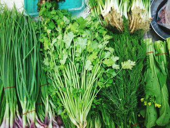 High angle view of green vegetables for sale at market stall