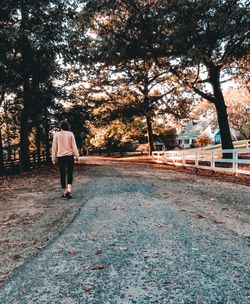 Rear view of man walking on road along trees
