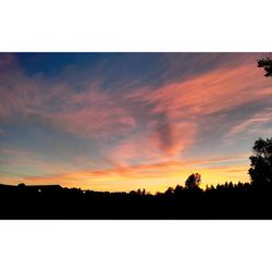 Silhouette of trees at sunset