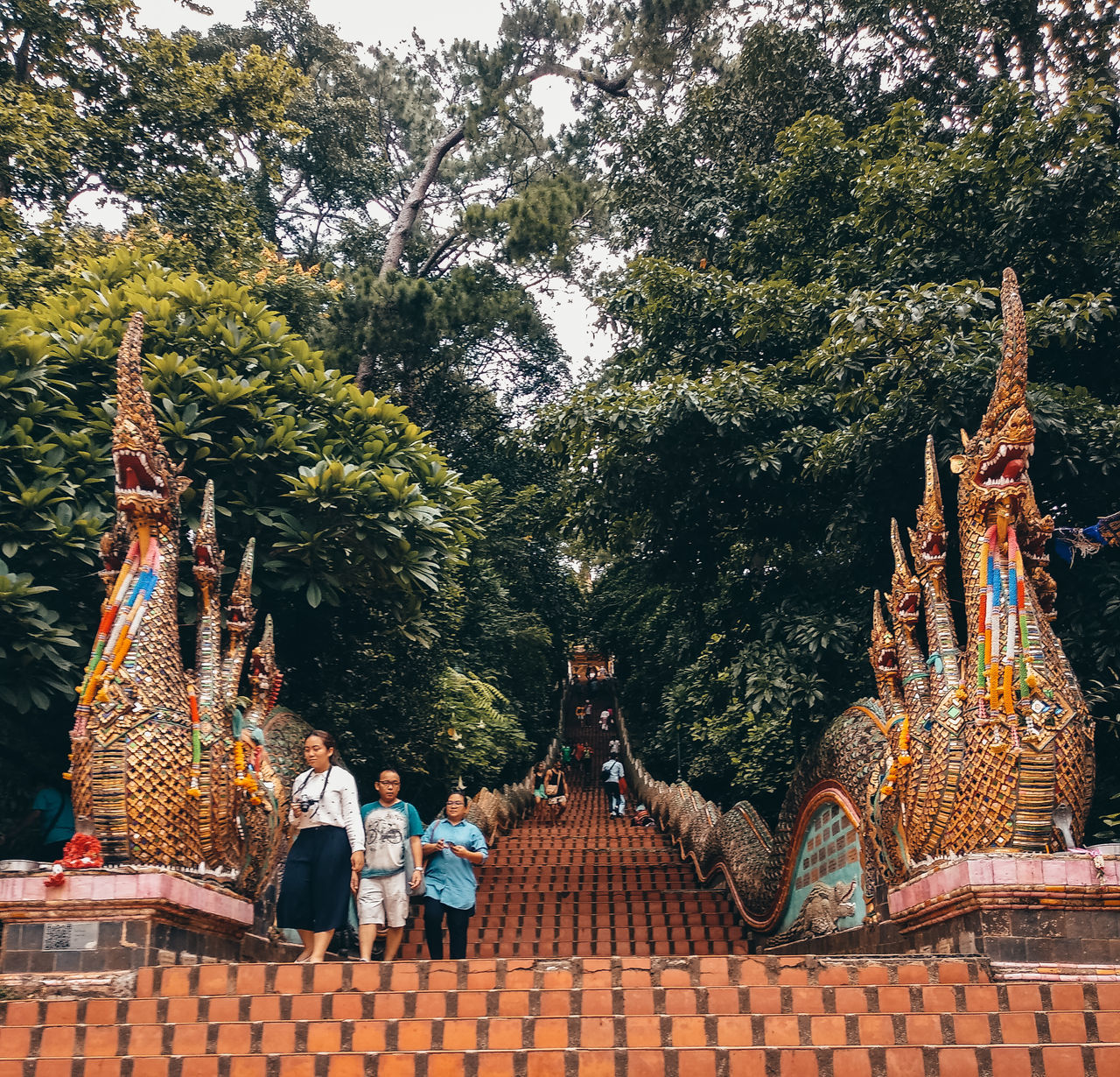 REAR VIEW OF A STATUE AGAINST TREE