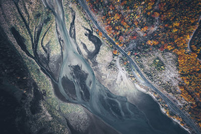 High angle view of road amidst trees