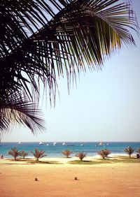 Scenic view of beach against blue sky