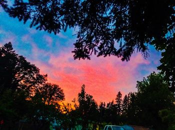 Low angle view of silhouette trees against sky during sunset