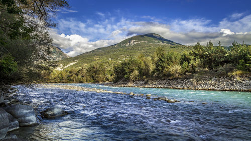 Scenic view of river amidst trees against sky