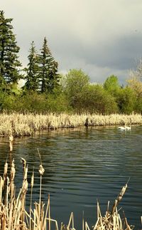 Scenic view of lake against sky