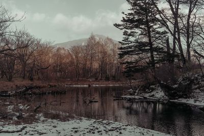 Trees by lake against sky during winter