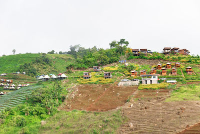 Houses by trees and buildings against clear sky