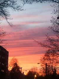 Low angle view of silhouette trees against sky at sunset