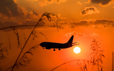 Close-up of silhouette airplane flying against orange sky