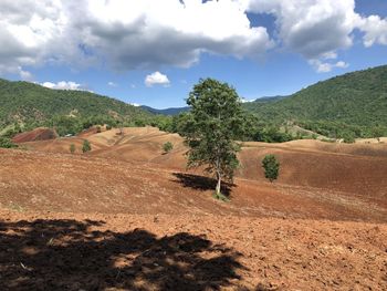 nature
