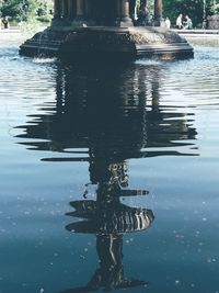 Reflection of trees in water