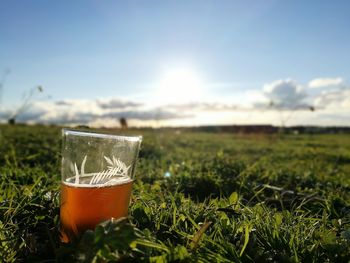 Drink in glass on field against sky during sunny day