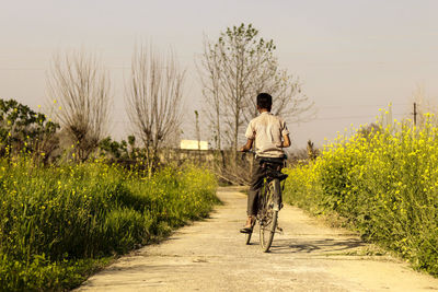 Rear view of man riding bicycle on road