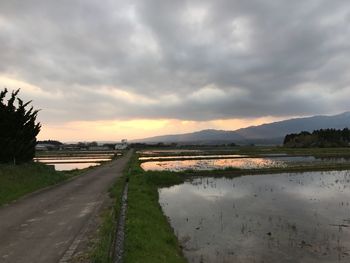 Scenic view of agricultural field against sky during sunset