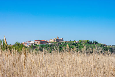 A distant view of castilian village over sown meadows