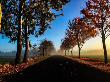 Empty road amidst trees against sky