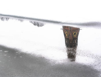 Reflection of trees in water