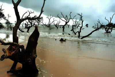 Scenic view of sea against cloudy sky