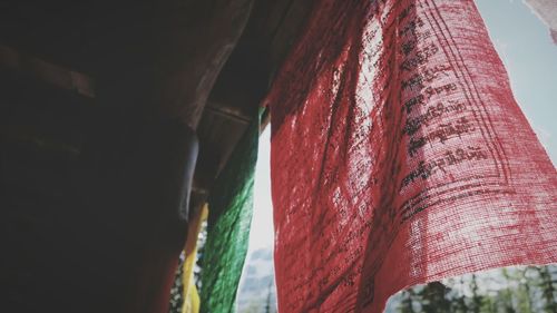 Close-up of red rose