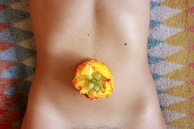 Close-up of woman hand on yellow flower