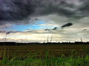 Scenic view of grassy field against cloudy sky